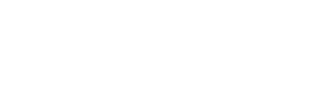 Vice